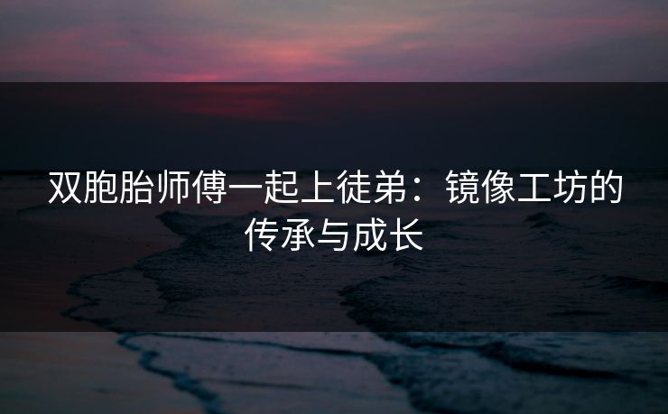 双胞胎师傅一起上徒弟：镜像工坊的传承与成长