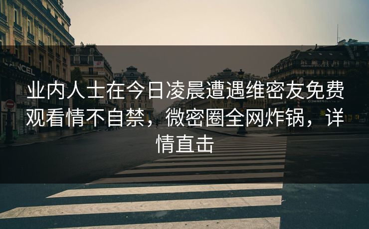 业内人士在今日凌晨遭遇维密友免费观看情不自禁，微密圈全网炸锅，详情直击